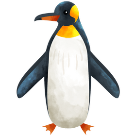 Penguin clipart