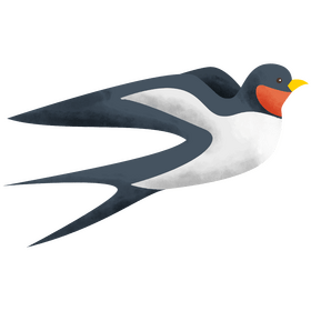 Swallow clipart