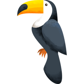 Toucan clipart