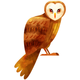 Owl clipart