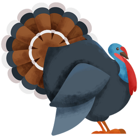 Turkey clipart