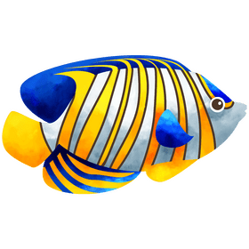 Royal angelfish clipart