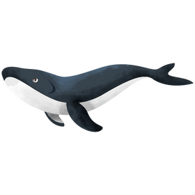 Whale clipart