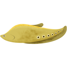 Clown knife fish clipart