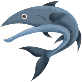 Barracuda fish clipart