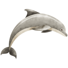 Dolphin clipart