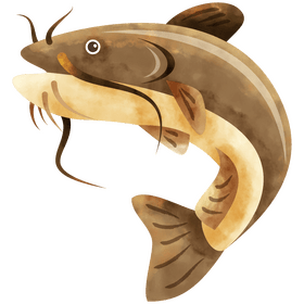 Catfish clipart