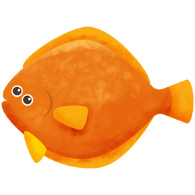 Flounder fish clipart