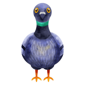 Pigeon front view clipart