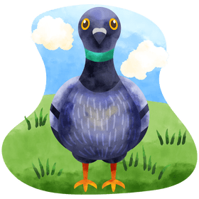 Pigeon front view vector