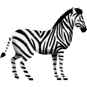 Zebra clipart