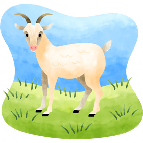 Goat vector