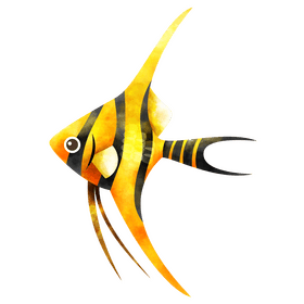 Angelfish clipart
