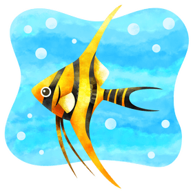 Angelfish vector