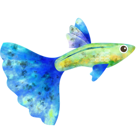 Blue grass guppy fish clipart
