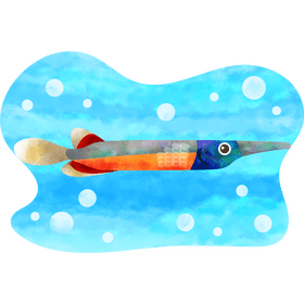 Halfbeak fish vector