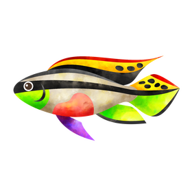 Kribensis fish clipart