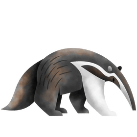 Anteater clipart