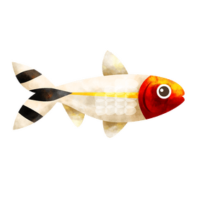Rummy nose tetra fish clipart