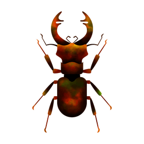 Stag beetle clipart