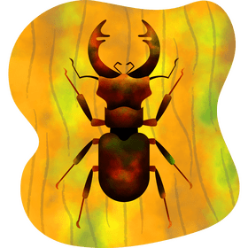 Stag beetle vector
