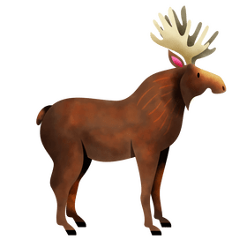 Moose clipart