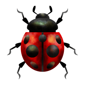 Ladybug clipart