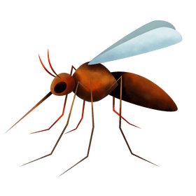 Mosquito clipart