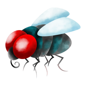 Fly clipart