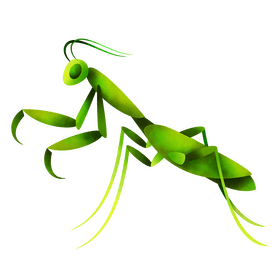 Praying mantis clipart