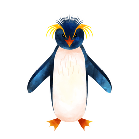 Rockhopper penguin clipart