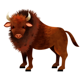 Bison clipart
