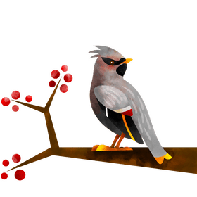 Bohemian waxwing bird clipart