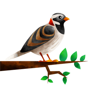 Lapland longspur bird clipart