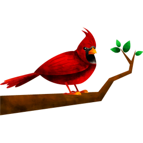 Cardinal bird clipart