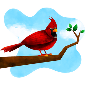 Cardinal bird vector