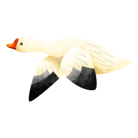 Snow geese bird clipart