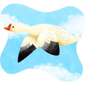 Snow geese bird vector