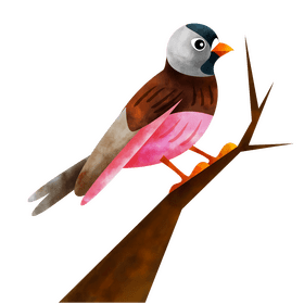 Rosy finch bird clipart