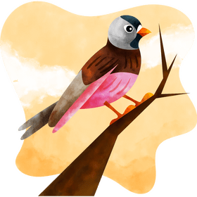 Rosy finch bird vector