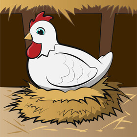 Chicken vector