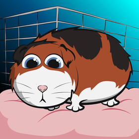 Guinea pig vector