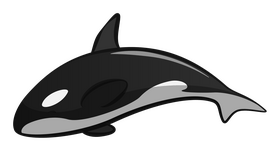 Orca clipart