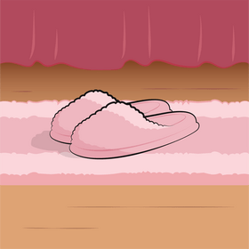 Slippers vector