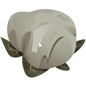 Cauliflower clipart