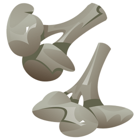 Cauliflower vegetable free clipart