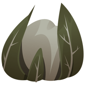 Cauliflower with leaves clipart