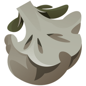 Cauliflower half clipart