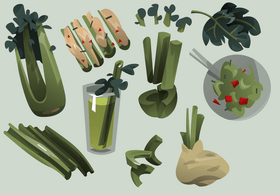 Celery vector
