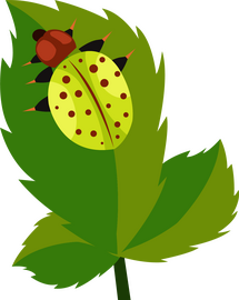 Bug clipart